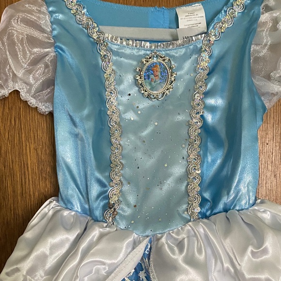Cinderella Princess Costume - Picture 3 of 3